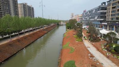 从“脏乱差”到“风景线”！武穴东风港，正在华丽蜕变
