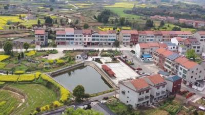 武穴司古塔村：“稻橙双驱”的致富密码