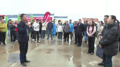 全国油菜主要病害科学用药防控技术培训班在我市举办