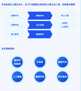 湖北十家企业跻身中国独角兽