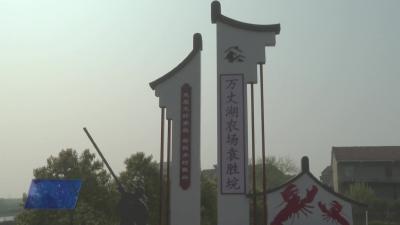 青春农垦情 和美新垸场 —— 万丈湖袁胜垸整治工程稳步推进