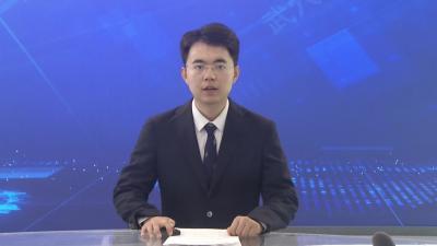 我市召开湖北大话嘻游项目视觉形象识别系统概念方案汇报会