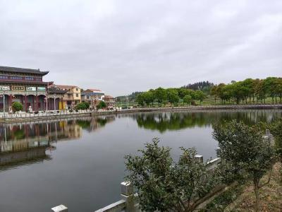 武穴市四望镇陶墩村：思想变一变 旧貌焕新颜 