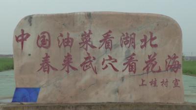 科技传播，惠及万家——云端田间直播课在上桂村开展
