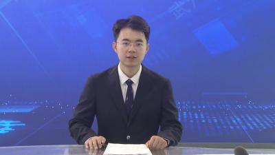 武穴：“一喷三防”护麦田 精准防控保丰收