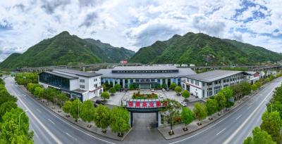 打开一片叶子的无限可能