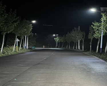 从坑洼路到景观带！花桥用灯火点亮乡村振兴路