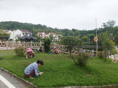 一包到底！余川镇龟山村垸场管护新模式让和美乡村更宜居