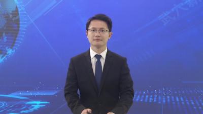 我市召开湖北大话嘻游项目评审汇报会