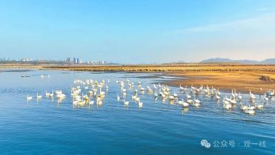 这八篇文章，写在“立规之地”