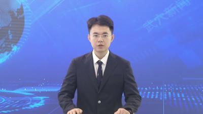 余川镇王宪村：300亩葵田种下新希望  “黄金花”孕育增收新图景