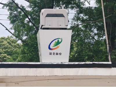 国有游仙山林场：一茶融三产 共谱红安红