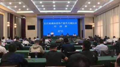 以技提质 以训促产 长江流域油菜单产提升关键技术培训班在武穴举办