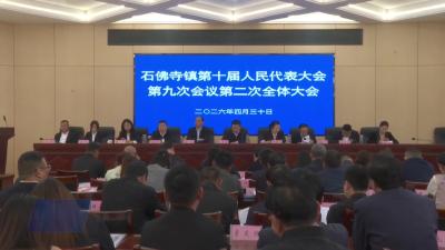石佛寺镇第十届人民代表大会第九次会议召开