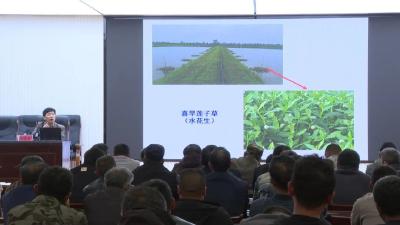 万丈湖街道：以虾为媒 打造农文旅融合乡村振兴样板 