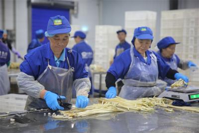 行进中国丨泥巴里“长”出大产业
