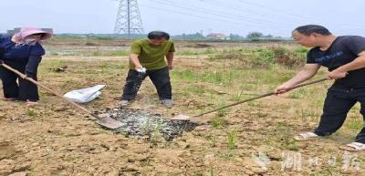 武穴石佛寺镇：齐抓共治灭螺害 织密生态防护线