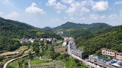 龟头河村让“沉睡”的老旧果园蜕变“生金”
