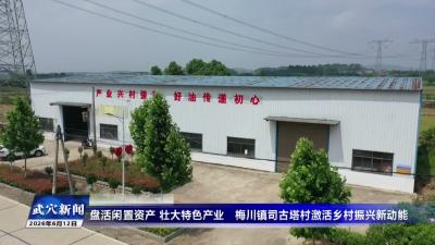 盘活闲置资产 壮大特色产业梅川镇司古塔村激活乡村振兴新动能