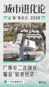 “锦鲤”游进老厂房跃上新赛道，广埠屯二次创业掘金“硅巷经济”