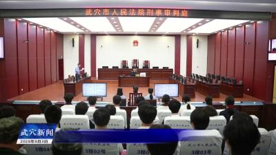 武穴市人民检察院：沉浸式观摩庭审 法治教育零距离