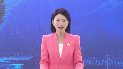 全市市镇领导班子换届工作会议召开