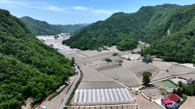 宜昌兴山：换代品种“蔬”写乡村致富路