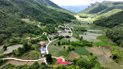 宜昌兴山：青龙村集体经济收入破百万的转型之路