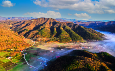 宜昌兴山：又见榛子红