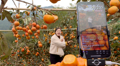 宜昌兴山：电商积极备战“双十一” 农产品供应链高效运转