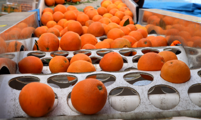 电商赋能添活力 兴山新农人架起柑橘“出山桥”