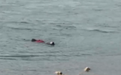 宜昌救人的英雄是兴山人