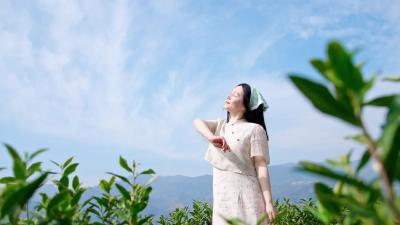 春风入兴山 一杯春茶鲜