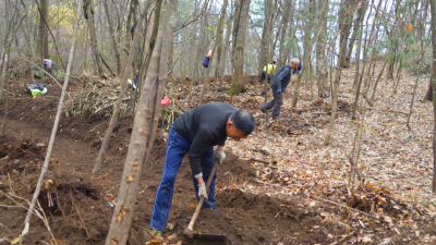 【特色兴农春播季】兴山林下种药 空置闲地变“金山”