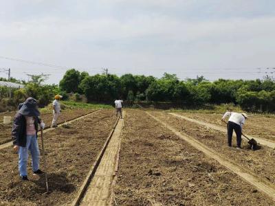 京山市新市街道白谷洞村：共享菜地喜迎新租户