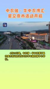 中农储·华中农博汇星空夜市活动开启