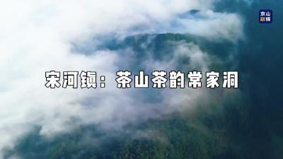 宋河镇：茶山茶韵常家洞