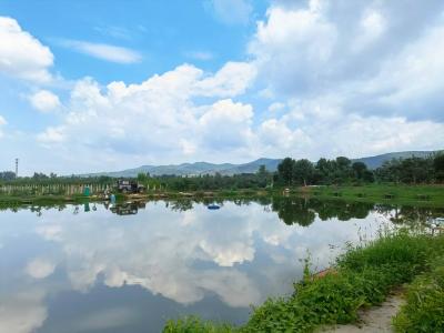 “钓娱+采摘” 京山市永兴街道乡贤引领生态产业发展