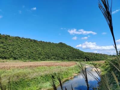 湖北京山：巡河巡林 护出山水美如画