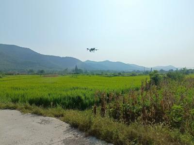 湖北京山：无人机飞防保粮食增收