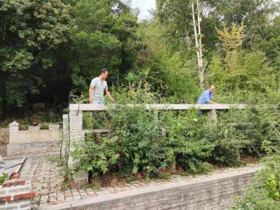 湖北京山：苗木盆景产业铺就村民“致富路”