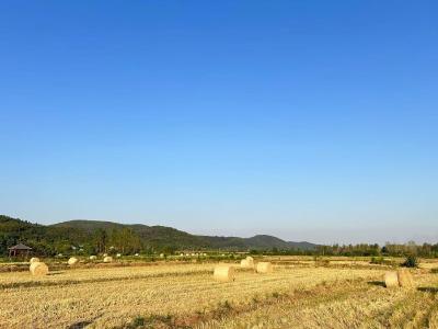 京山市永兴街道：秸秆打捆 绘就丰收图景