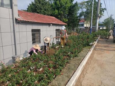 京山市新市街道：共同缔造新家园 村民共建美环境