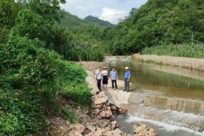 京山市新市街道：修复水毁路 服务暖民心