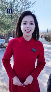 100元玩转年猪宴节