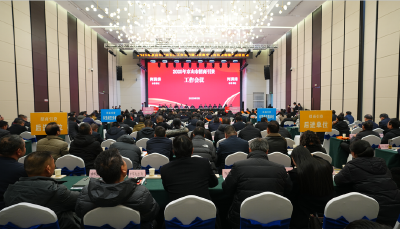 2025 年全市招商引资工作会议召开