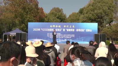 V视|京山市2025年“春暖荆楚 助鄂启航”招聘会”举行