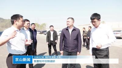 V视|鲁雷到坪坝镇调研