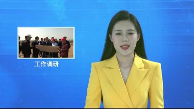 V视|鲁雷调研高铁连接线建设和森林防灭火工作