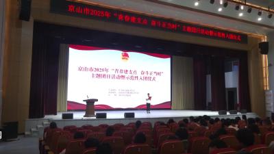 V视|京山市主题团日活动激励青年担当作为